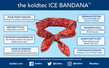 Ice Bandana & FlexIce Bundle - Blue Paisley