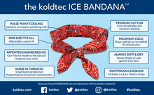 Ice Bandana & FlexIce Bundle - Purple