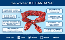 Ice Bandana & FlexIce Bundle - Red Paisley